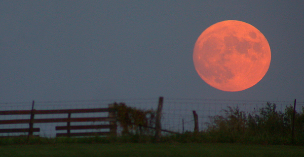 Harvest moon resized 600